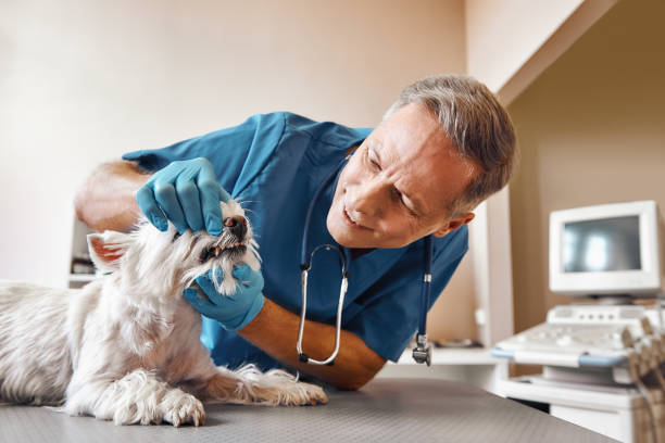Best Emergency Wisdom Tooth Extraction in Wynne, AR