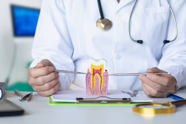 Best Emergency Root Canal Therapy in Wynne, AR